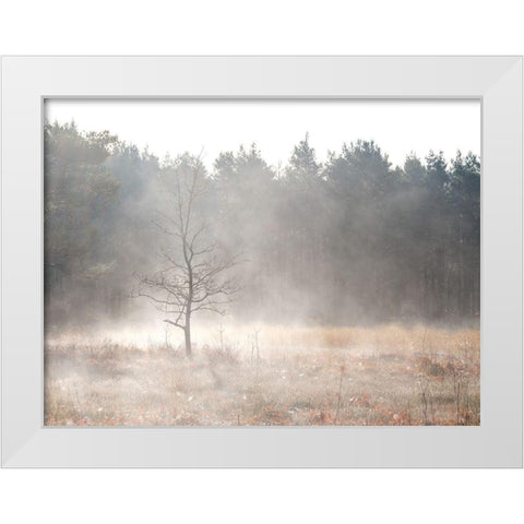 Misty forest White Modern Wood Framed Art Print by Frank, Assaf