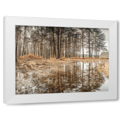 Forest reflections White Modern Wood Framed Art Print by Frank, Assaf