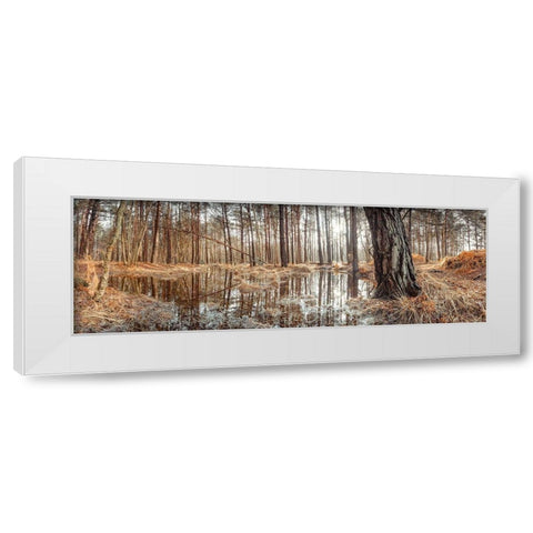 Canal through forest White Modern Wood Framed Art Print by Frank, Assaf