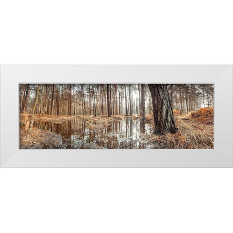 Canal through forest White Modern Wood Framed Art Print by Frank, Assaf