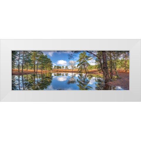 Canal through forest White Modern Wood Framed Art Print by Frank, Assaf