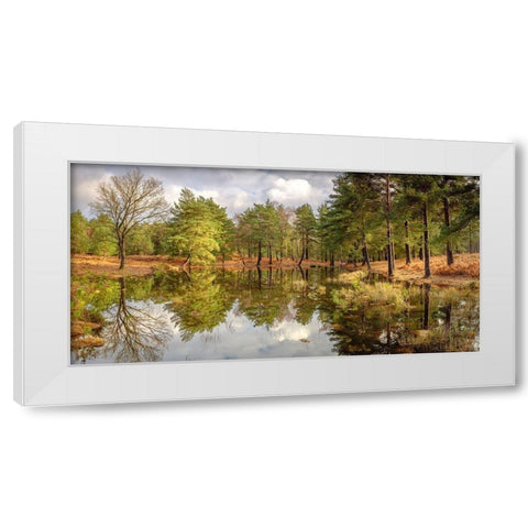 Canal through forest White Modern Wood Framed Art Print by Frank, Assaf
