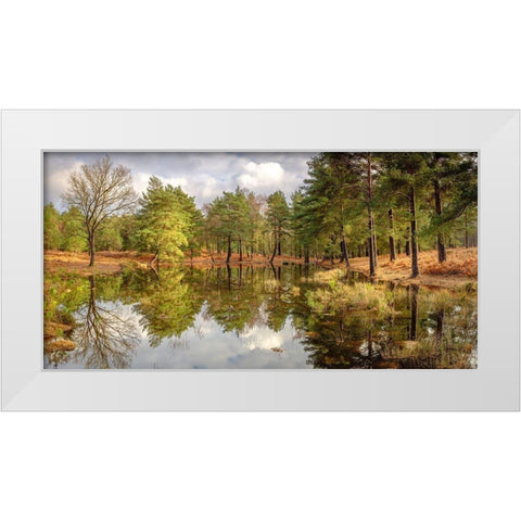 Canal through forest White Modern Wood Framed Art Print by Frank, Assaf