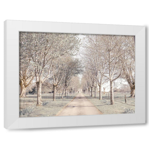 Pathway through forest White Modern Wood Framed Art Print by Frank, Assaf