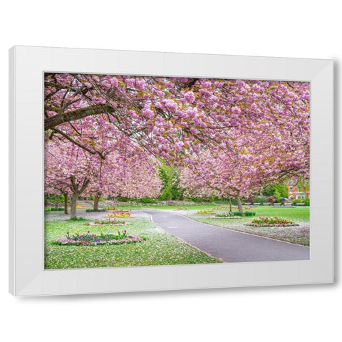 Blossom in the park White Modern Wood Framed Art Print by Frank, Assaf