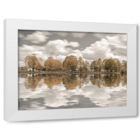 Trees along the lake White Modern Wood Framed Art Print by Frank, Assaf