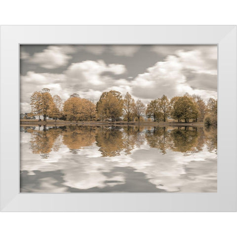 Trees along the lake White Modern Wood Framed Art Print by Frank, Assaf