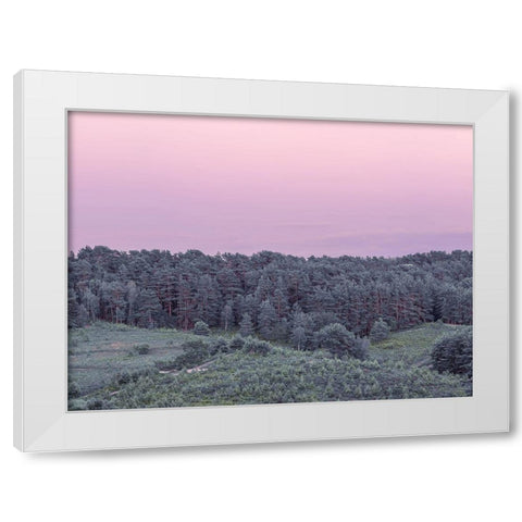 Dense Forest White Modern Wood Framed Art Print by Frank, Assaf
