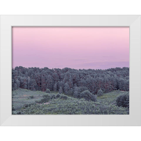 Dense Forest White Modern Wood Framed Art Print by Frank, Assaf