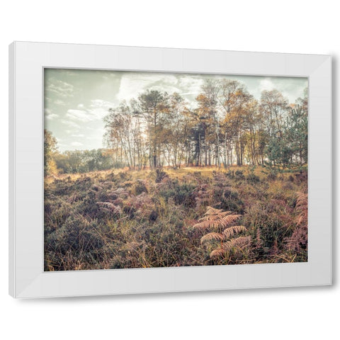 Forest with tall trees and foliage White Modern Wood Framed Art Print by Frank, Assaf