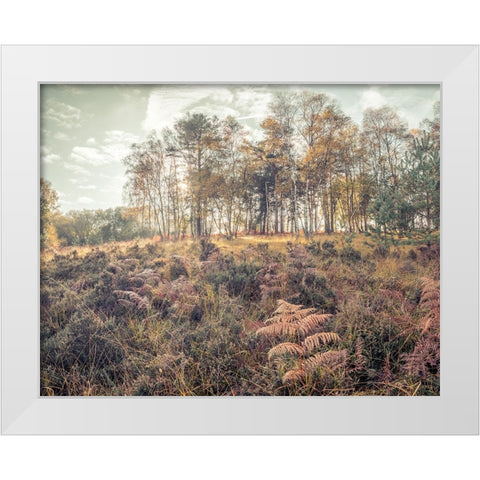 Forest with tall trees and foliage White Modern Wood Framed Art Print by Frank, Assaf