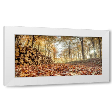 Stack of tree logs in autumn forest White Modern Wood Framed Art Print by Frank, Assaf