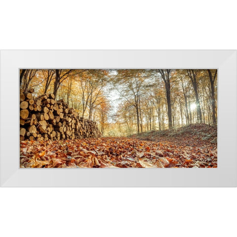 Stack of tree logs in autumn forest White Modern Wood Framed Art Print by Frank, Assaf