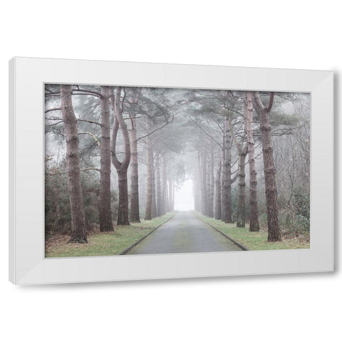 Road through mystic forest White Modern Wood Framed Art Print by Frank, Assaf