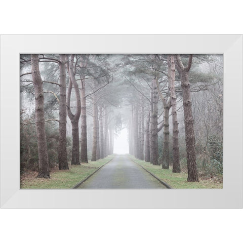 Road through mystic forest White Modern Wood Framed Art Print by Frank, Assaf