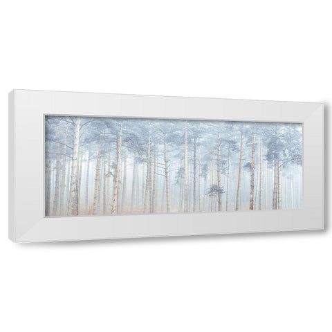 Misty Forest White Modern Wood Framed Art Print by Frank, Assaf