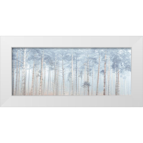Misty Forest White Modern Wood Framed Art Print by Frank, Assaf