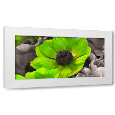 AF20111223 Anemone 008C15-2 Green White Modern Wood Framed Art Print by Frank, Assaf