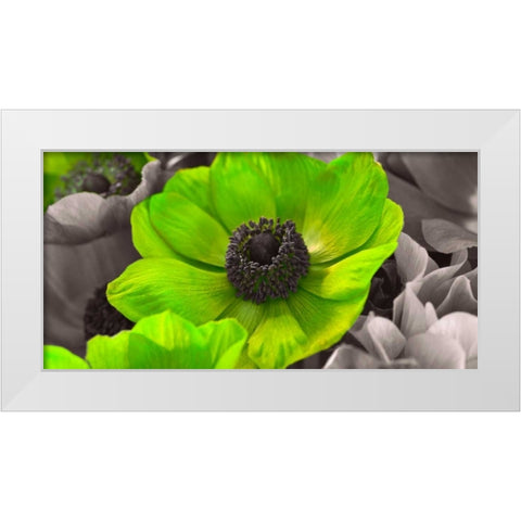 AF20111223 Anemone 008C15-2 Green White Modern Wood Framed Art Print by Frank, Assaf