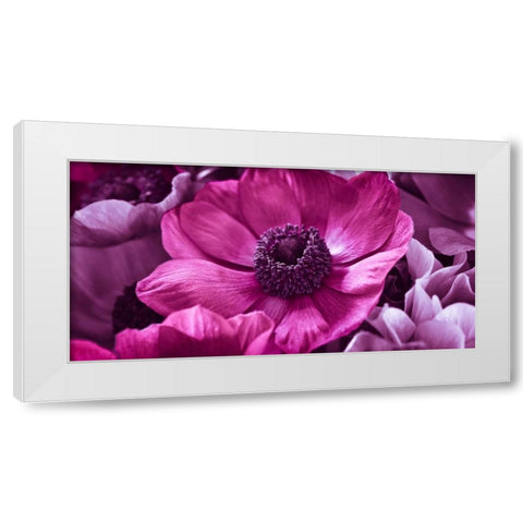 AF20111223 Anemone 008C15-2 RaspberryC01 White Modern Wood Framed Art Print by Frank, Assaf