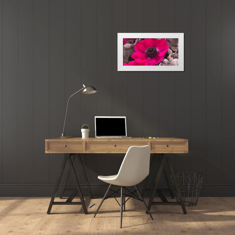 AF20111223 Anemone 008C15-2 Raspberry White Modern Wood Framed Art Print by Frank, Assaf