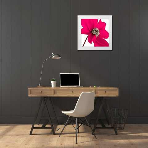 AF20110714 Dahlia 106C13 White Modern Wood Framed Art Print by Frank, Assaf