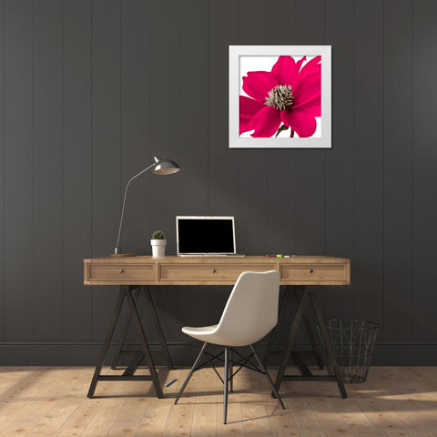 AF20110714 Dahlia 107C08 White Modern Wood Framed Art Print by Frank, Assaf