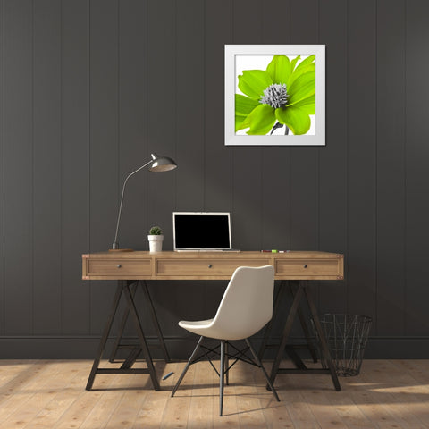 AF20110714 Dahlia 107C15 Green White Modern Wood Framed Art Print by Frank, Assaf