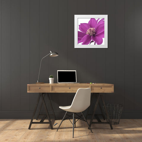 AF20110714 Dahlia 107C16 White Modern Wood Framed Art Print by Frank, Assaf