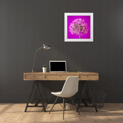 AF20100605 Alliums 151C10 White Modern Wood Framed Art Print by Frank, Assaf