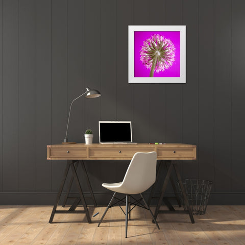 AF20100605 Alliums 167C15 White Modern Wood Framed Art Print by Frank, Assaf
