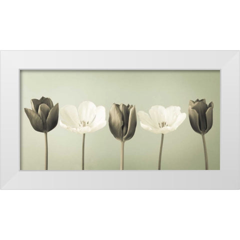 AF20120424 Tulips 353C04 White Modern Wood Framed Art Print by Frank, Assaf