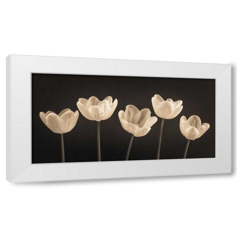 Five Tulips in a row White Modern Wood Framed Art Print by Frank, Assaf