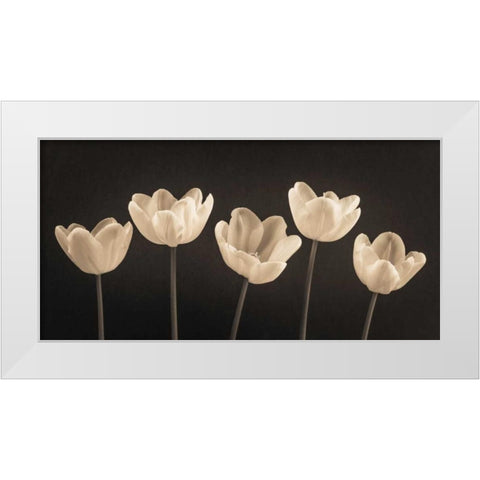 Five Tulips in a row White Modern Wood Framed Art Print by Frank, Assaf