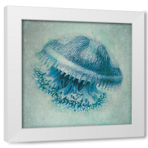Jelly Fish II White Modern Wood Framed Art Print by Marrott, Stephanie