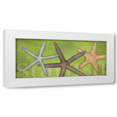 Star Fish White Modern Wood Framed Art Print by Marrott, Stephanie