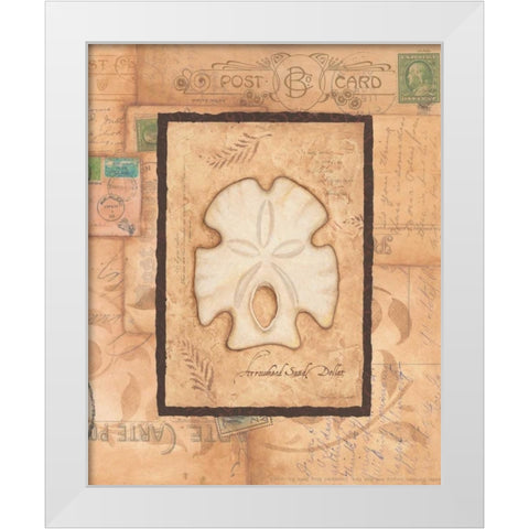 Sand Dollar White Modern Wood Framed Art Print by Marrott, Stephanie