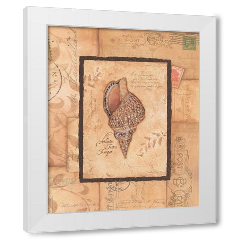 Triton White Modern Wood Framed Art Print by Marrott, Stephanie