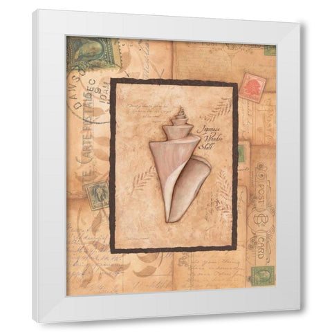 Wonder Shell White Modern Wood Framed Art Print by Marrott, Stephanie