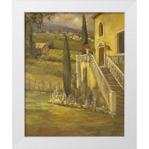 Latin Calm II White Modern Wood Framed Art Print by Stevens, Allayn