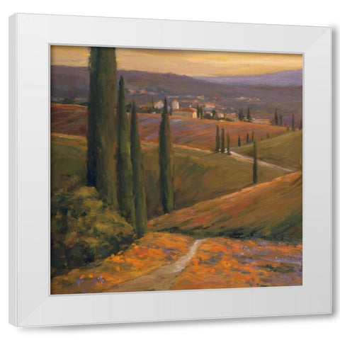 Afternoon Walk I White Modern Wood Framed Art Print by Stevens, Allayn