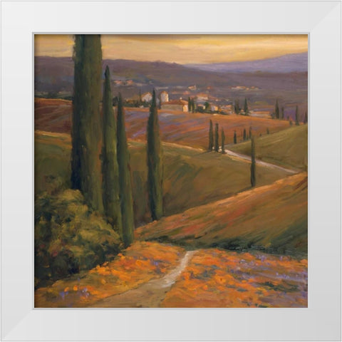 Afternoon Walk I White Modern Wood Framed Art Print by Stevens, Allayn