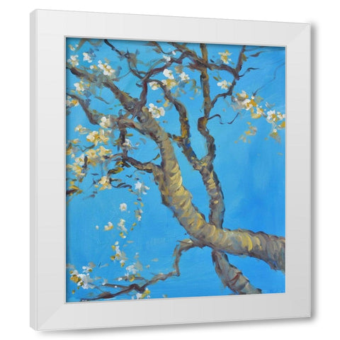 Cherry Blossom -1 White Modern Wood Framed Art Print by Stevens, Allayn