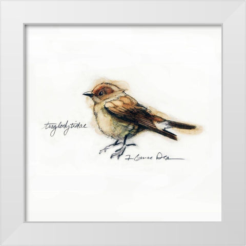 Finch White Modern Wood Framed Art Print by Dean, Bruce
