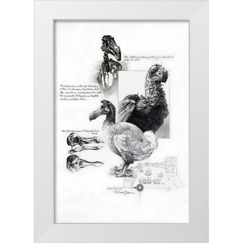 Dodo White Modern Wood Framed Art Print by Dean, Bruce