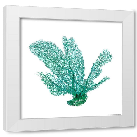 Green Sea Fan White Modern Wood Framed Art Print by Brando, JJ