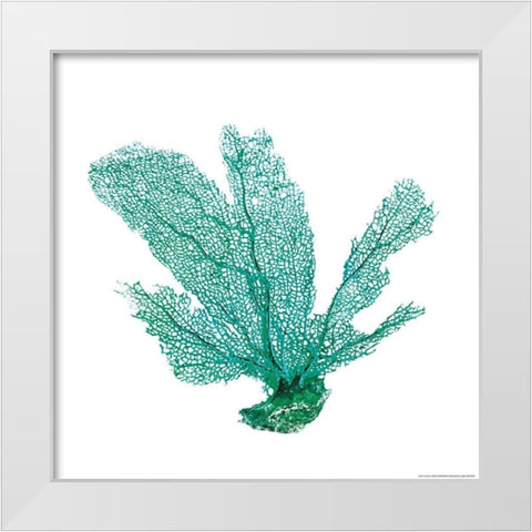 Green Sea Fan White Modern Wood Framed Art Print by Brando, JJ
