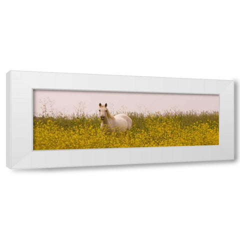 Flowery Horse Field White Modern Wood Framed Art Print by Linden, Sally