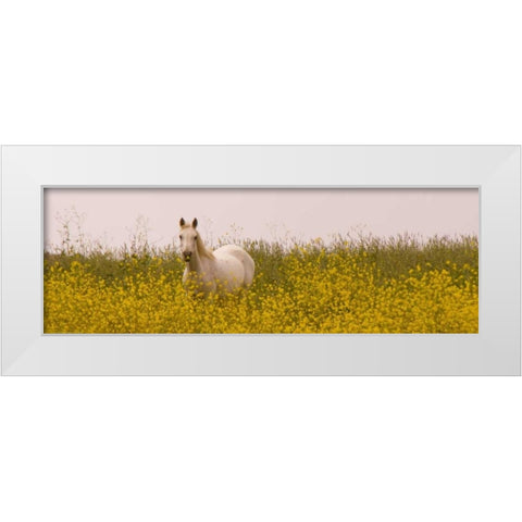 Flowery Horse Field White Modern Wood Framed Art Print by Linden, Sally