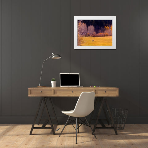 Horse Pasture White Modern Wood Framed Art Print by Linden, Sally